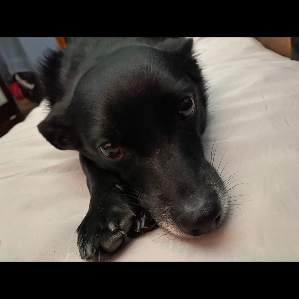 Meet your Posher, Emmanuel